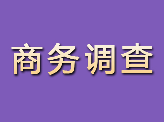 沅江商务调查